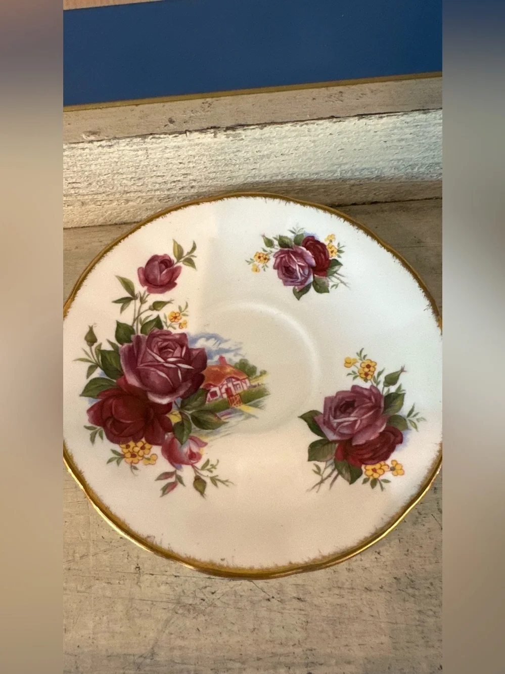 Elizabethan fine bone china tea cup with deep pink rose & old English village